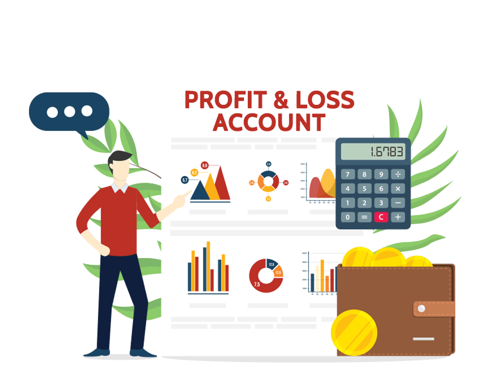 Profit And Loss Account Help Online 18008435500 Profit And Loss 